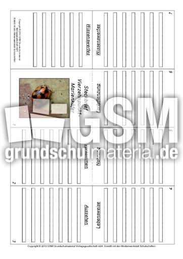Faltbuch-Vierzehnpunkt-Marienkäfer.pdf